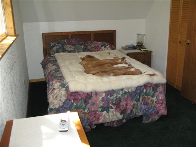 upstairs_south_bedroom_2.jpg